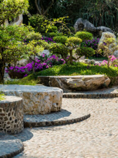 Luxury landscape design of the tropical garden. Beautiful view of landscaped tropical garden.